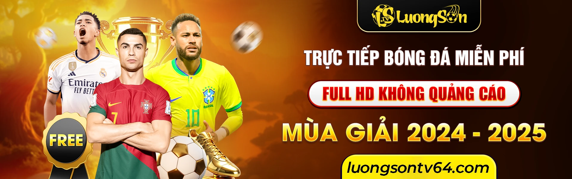 Trực tiếp bóng đá miễn phí LuongSonTV